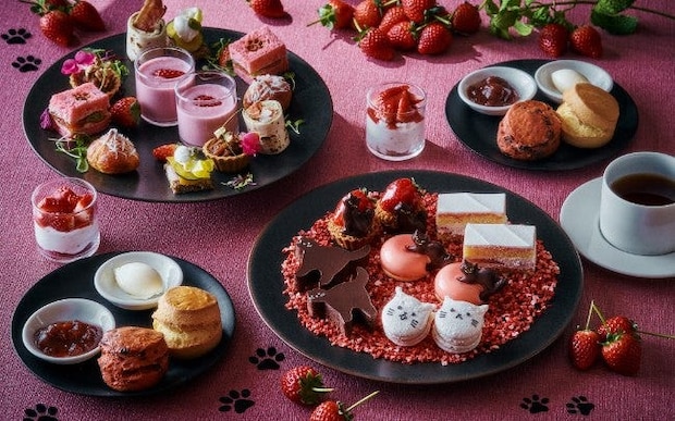 猫モチーフのメニューが楽しめるレストランプラン5選！猫×いちごのアフタヌーンティーやパスタ、テイクアウトのクッキーなど