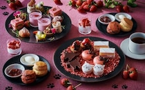 猫モチーフのメニューが楽しめるレストランプラン5選！猫×いちごのアフタヌーンティーやパスタ、テイクアウトのクッキーなど