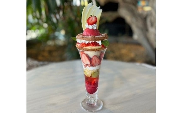 NEW LIGHTの「苺パリブレストパフェ」。伝統菓子といちごが織りなす春の味わいを召し上がれ