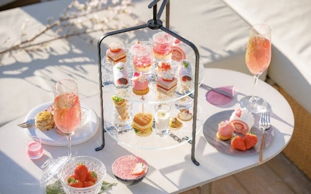 ザ・キタノホテル東京の桜×いちごアフタヌーンティー。枝垂れ桜咲くルーフトップバーで、生いちごや桜いちごスイーツを満喫