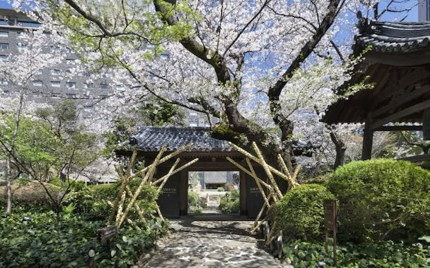 高輪エリアのプリンスホテルで「高輪 桜まつり2026」開催。宿泊や限定グルメのほか、日本庭園のライトアップ、ワークショップも