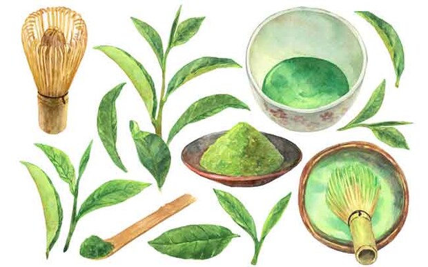 【第2弾】「お茶」がテーマの短歌10首。さまざまな角度からお茶を感じられる、日々の癒しになる短歌を