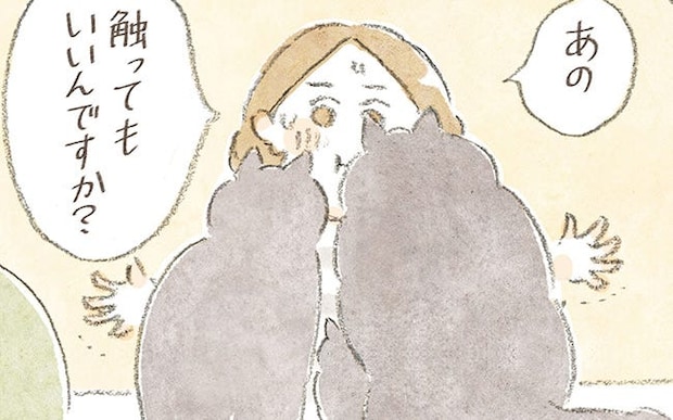 昼間の喫茶黒猫に来た、町内会役員の安藤さん。黒猫たちが自分から近づいてきてくれて…？／深夜3時のくろねこ喫茶2(7)