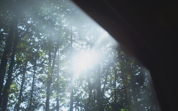 風土を映す車窓の旅　小湊鐡道