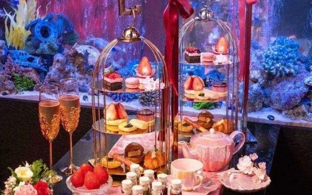 5,000円以下で楽しめる夜アフタヌーンティー5選。新宿・銀座・表参道など