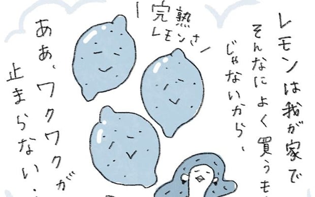 突然訪れたレモンのおすそわけ。イベントみたいでとっても嬉しい！／ときどき丁寧に暮らしたい（9）