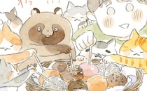 仲良くしたいけど勇気が出なくて困っていたら、猫とたぬきにヒントをもらって…？／深夜3時のくろねこ喫茶2(11)