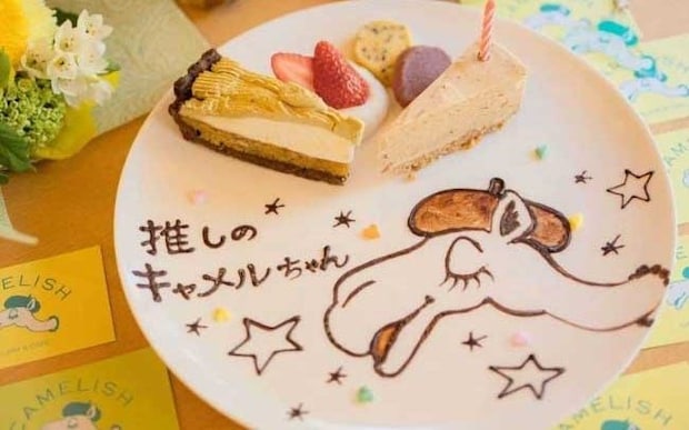 東京｜推し活におすすめ！推しの誕生日や記念日をかわいく祝えるメッセージプレート付きレストラン＆カフェ5選