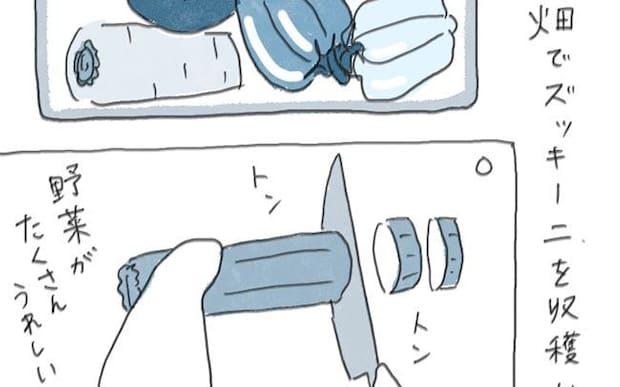 畑で収穫したズッキーニでラタトゥイユ。試食したら大事な書類にシミを作ってしまい…？／ときどき丁寧に暮らしたい（12）