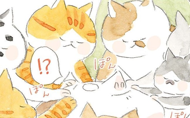 金曜の夜になると熱が出て倒れてしまっていたら、猫たちが肉球でぽんと熱を測ってくれて…？／深夜3時のくろねこ喫茶2(13)