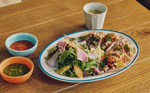 【鎌倉駅近エスニックランチ5選】こだわりのスパイスや味の組み合わせの個性が光るエスニックランチを味わおう