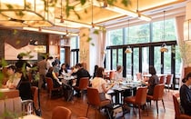「スカルペッタ東京」で開催した“おひとりさま同士のランチ会”を編集部レポ！絶品料理とワイン「テスタマッタ」のペアリング