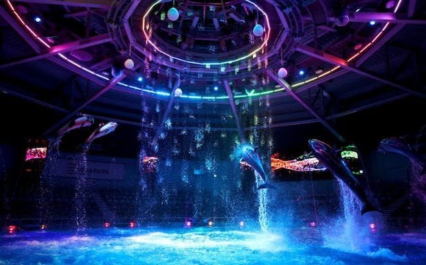 「エンタメ水族館」でひんやり涼む穴場スポット4選。ナイトショーに光のデジタル演出も【夏の夜のおでかけ特集2026】