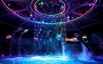 「エンタメ水族館」でひんやり涼む穴場スポット4選。ナイトショーに光のデジタル演出も【夏の夜のおでかけ特集2026】