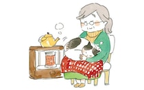 地域猫の数を必要以上に増やさないようにするTNR活動とは…？／拾われた猫たちが教えてくれたこと（3）