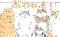 自分ひとりで子どもを守れるか不安に思っていたら、猫たちが用心棒が必要か!?と言ってくれて…／深夜3時のくろねこ喫茶2(14)