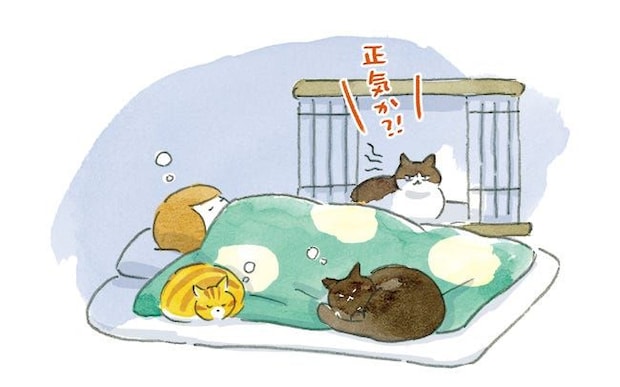 人に対して警戒心の強い保護猫。譲渡会で素敵な家族と出会うも…？／拾われた猫たちが教えてくれたこと（4）