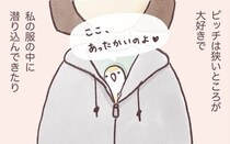 ピッチは狭いところが大好き。そこでは縄張りスイッチがONになるようで…？／うちのインコたちは今日もおしゃべり（18）