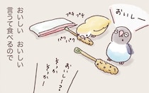 インコたちが大好きなおやつ。テンションがあがっておいしーと言うことも…?／うちのインコたちは今日もおしゃべり（20）