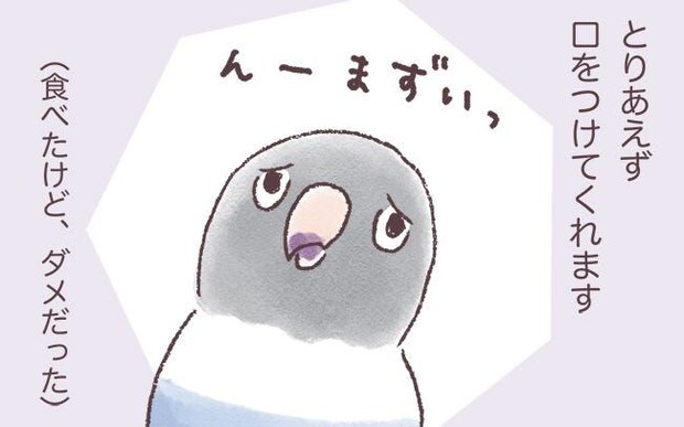 インコたちの苦手な食べ物を前にした反応とは…？／うちのインコたちは今日もおしゃべり（21）