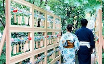 かき氷や風鈴、浴衣で日本橋の夏を涼しく巡る「ECO EDO 日本橋 2026」開催
