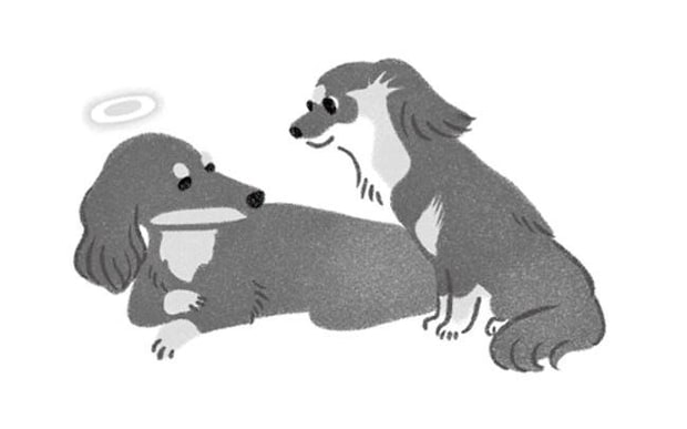 「生きる」ということを教えてくれた犬クリフと過ごした16年3カ月。/犬からの手紙が教えてくれたこと(2)