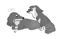 「生きる」ということを教えてくれた犬クリフと過ごした16年3カ月。/犬からの手紙が教えてくれたこと（2）