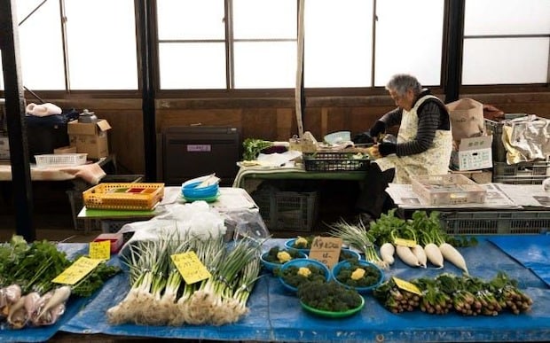 【レンバイコース】鎌倉の日常体験!定番のお買い物ルートを巡り、新鮮な鎌倉野菜や絶品定食に出会う