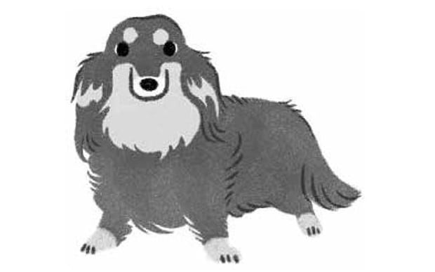 動物嫌いだった母が、唯一愛した犬ココロ。家族みんながココロに夢中になった日々の記録。/犬からの手紙が教えてくれたこと(5)