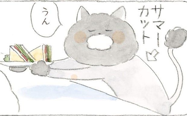 夏バテのお客さんが来店すると、猫さんたちも夏バテ中。でも猫のくまじぃは涼しそうで…？／深夜3時のくろねこ喫茶3(2)