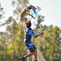 《入場無料》愛犬と1日中楽しもう！「第2回 Happy！ ワンDays フェスタ」秋の那須ガーデンアウトレットで開催！現役世界チャンピオンによる「ディスクドッグパフォーマンス」も