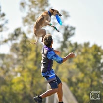 《入場無料》愛犬と1日中楽しもう！「第2回 Happy！ ワンDays フェスタ」秋の那須ガーデンアウトレットで開催！現役世界チャンピオンによる「ディスクドッグパフォーマンス」も