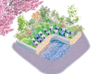 【新区画オープン】ガーデンデザイナーが手がける新宿の樹木葬「牛込庭苑」2025年11月1日(土)より販売開始