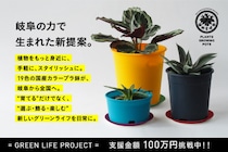 岐阜のものづくりから生まれた、“色で選ぶ、植物と暮らす。”19色の「made in GIFU」プラ鉢セットがCAMPFIREでプロジェクト始動