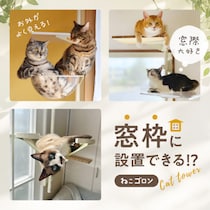 窓枠につけるキャットタワー！「ねこゴロン」シリーズ 売れ筋商品が30％OFF！お得なセールを2025年11/20(木)～期間限定開催