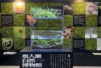 奥入瀬渓流の魅力を東京で体感　「奥入瀬移動博物館」をモンベル御徒町店で開催