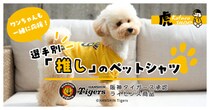 虎たろうSHOP新商品×阪神タイガース　選手別「推し」のペットシャツが4/1より受注受付開始！！阪神タイガース承認グッズ！全48名の選手から背番号が選べる