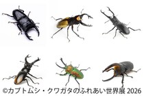 世界のレア昆虫が集結！夏休み限定イベント「カブトムシ・クワガタのふれあい世界展」8/1(土)～東京で開催　AR昆虫採集ゲーム「バグハン！」コラボブースも登場