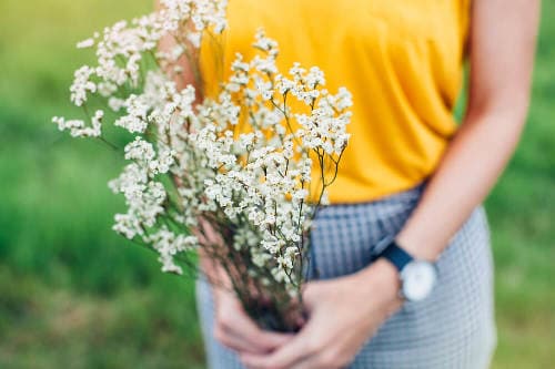 サムネイル: Ladybug