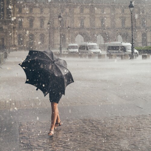 サムネイル: rino