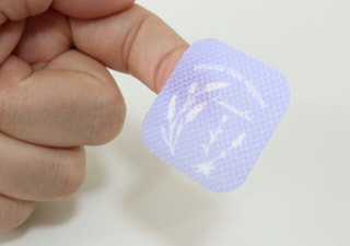 ダイソーさんこういうの欲しかったよ！ペラペラだけど癒される～♡つい貼りたくなるシール