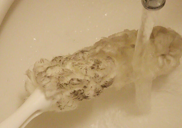 網戸クリーナー　手入れ