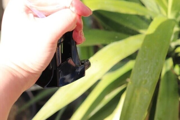 逆さで使えるスプレーボトル（スリム、250ml）　ダイソー　葉水