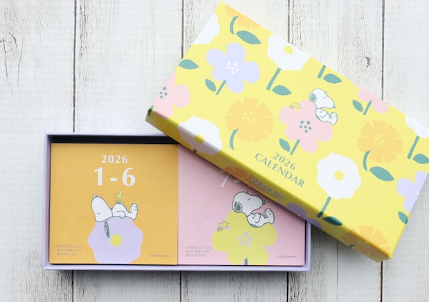 大人のおしゃれ手帖スヌーピー日めくりカレンダー