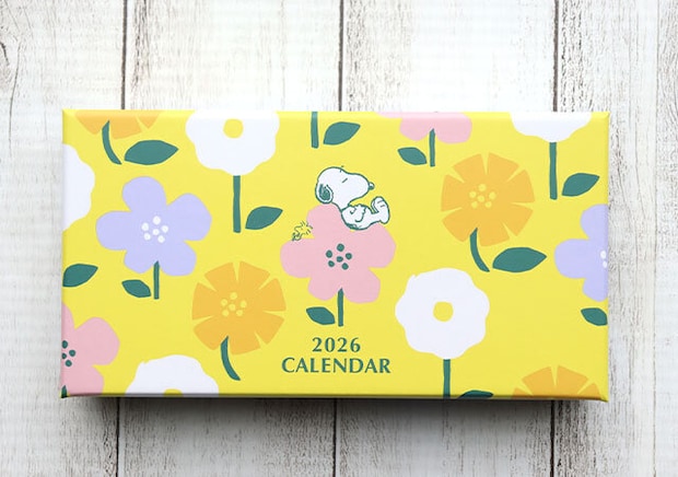 大人のおしゃれ手帖スヌーピー日めくりカレンダー紙箱