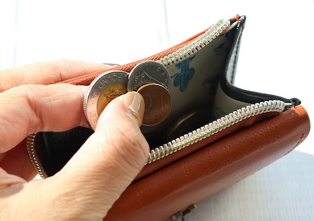 宝島社 ムック付録 SNOOPY YEAR OF THE HORSE MINI WALLET 宝島社ムック付録のSNOOPYのYEAR OF THE HORSE MINI WALLET6