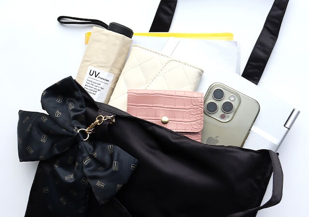 ALEXANDRE DE PARIS[アレクサンドル ドゥ パリ]リボンチャーム＆トートバッグ2点セット使用例