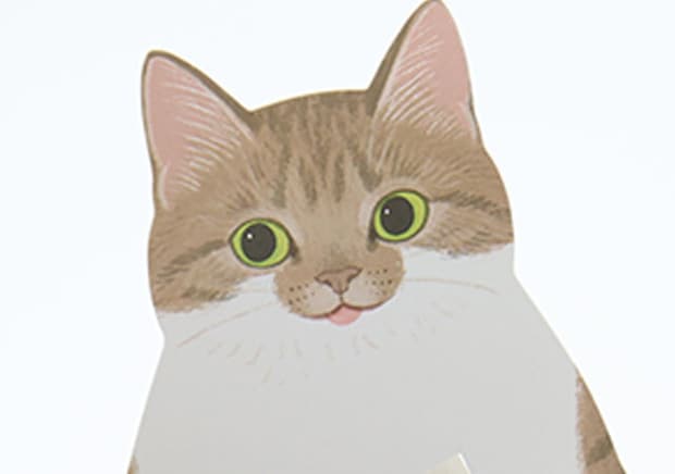 セリアさんこれ反則だよ！「もはや自分用にコレクションしたいわ…」柄違いで買ってしまった商品