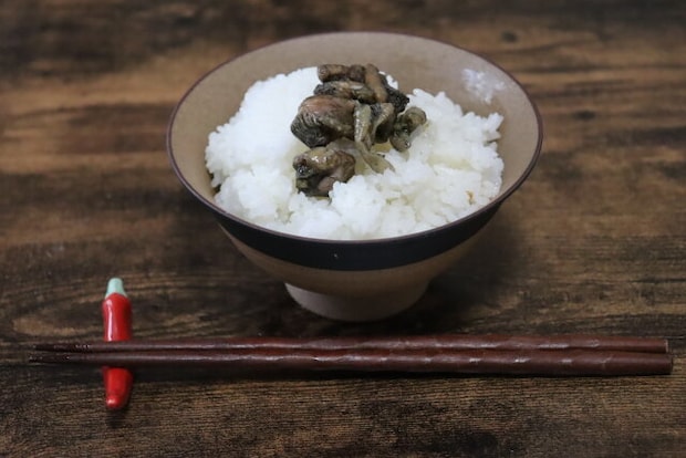宮崎名物鶏炭火焼　ダイソー　おかず