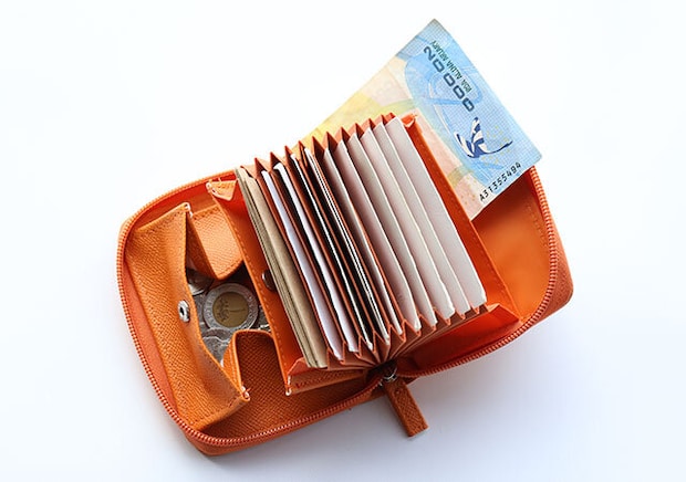 THE SCAPE OF GREEN やみつきサイフオレンジ全体